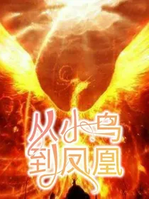 从小鸟到神凰