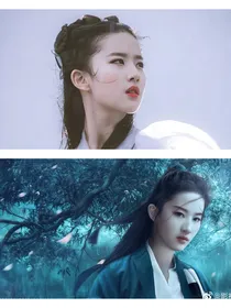 陈情令之我只喜欢你