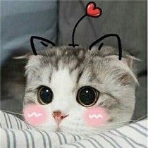 总文