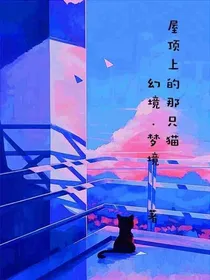 屋顶上的那只猫