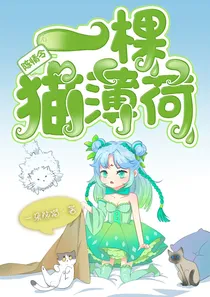 陈情令：一棵猫薄荷！