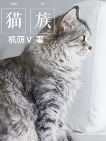 猫族