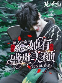 撩人指南：BOSS她有盛世美颜