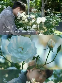 王源：彩虹的第八种颜色