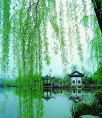 一天星月在，照亮那些年（晴雨集）