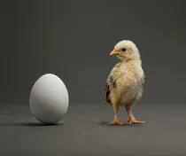 先有鸡还是先有蛋