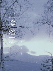 浮尘落定