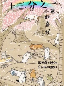 十三分之一