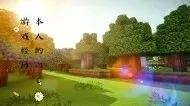 本人在MC的经历