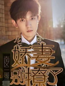 南区一哥：娇妻别撩了