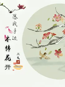 愿我手边—木棉花开