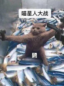 猫星人大战