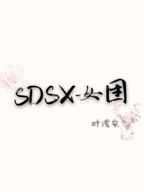 SDSX组合