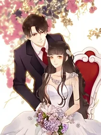 总裁的契约小妻子