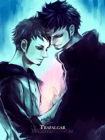 海贼王之罗的第二人格
