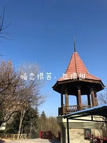 暗恋很苦，也很甜