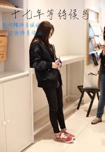 十七年等待候鸟