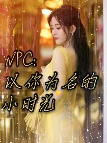 NPC：以你为名的小时光