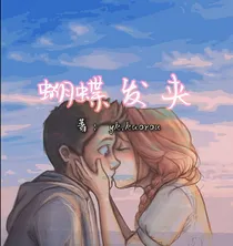 蝴蝶发夹