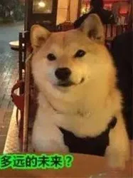 送给世上的单身狗们