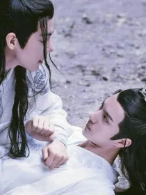 陈情令重生之甜蜜夫妻已上线