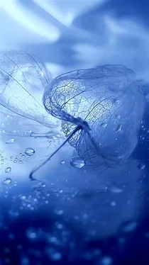 为落成泥更护花
