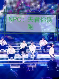 NPC：夫君你别跑