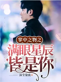 掌中之物之满眼星辰皆是你