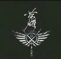 全职国家队