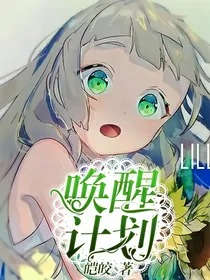 唤醒计划