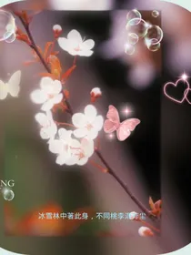 紫梦蝶蓝