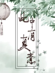 此中有真意