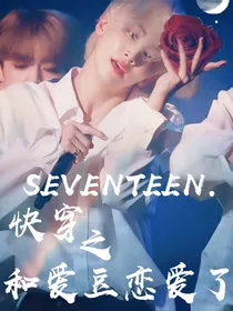 SEVENTEEN：快穿之和爱豆恋爱了