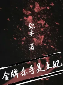 金牌杀手是王妃