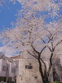 你是我眼里的璀璨星辰