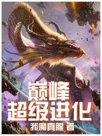 巅峰超级进化