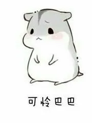 R1SE：生命之光