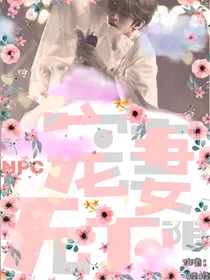 NPC：宠妻无下限