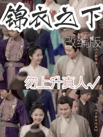 锦衣之下改编版：大人的爱财夫人