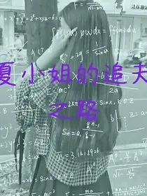 夏小姐的追夫之路