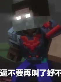 永别了Mc