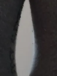 聪明的蓝精灵