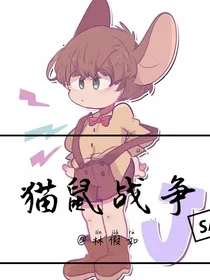 猫和老鼠之猫鼠战争