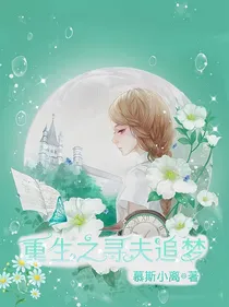 重生之寻夫追梦