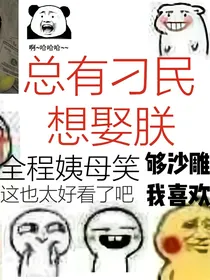 总有刁民想娶朕