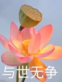 佛系封面铺子