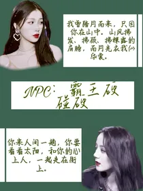 NPC：霸王硬碰硬