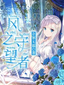 风之守望者