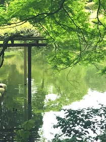 我想留在四月