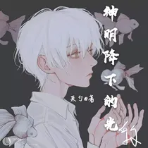 神明降下的光